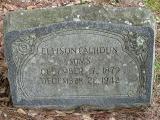 image of grave number 168177